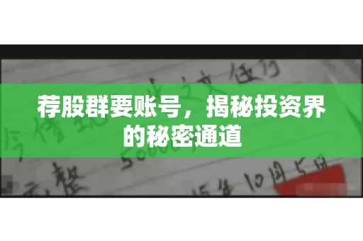荐股群要账号，揭秘投资界的秘密通道