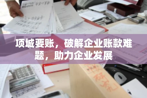 项城要账，破解企业账款难题，助力企业发展