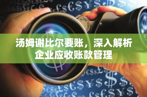 汤姆谢比尔要账，深入解析企业应收账款管理