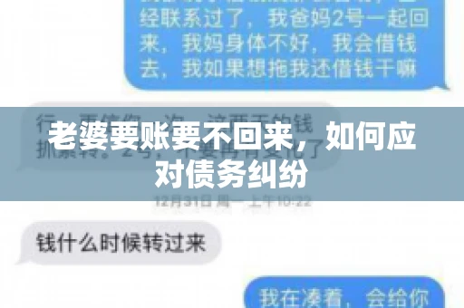 老婆要账要不回来，如何应对债务纠纷