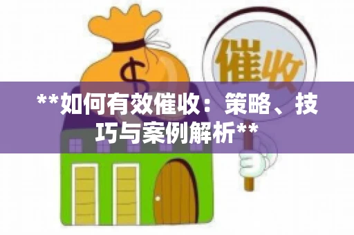 **如何有效催收：策略、技巧与案例解析**