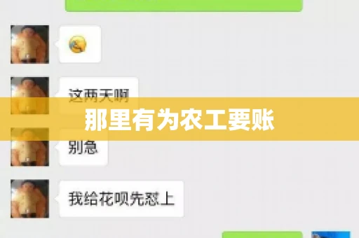 那里有为农工要账