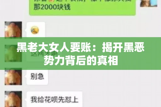 黑老大女人要账:揭开黑恶势力背后的真相 黑老大女人要账:揭开黑恶势力背后的真相