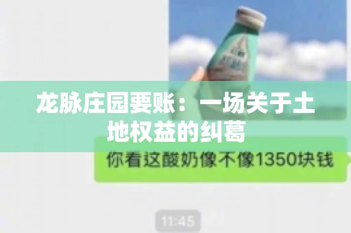龙脉庄园要账:一场关于土地权益的纠葛 龙脉庄园要账:一场关于土地权益的纠葛