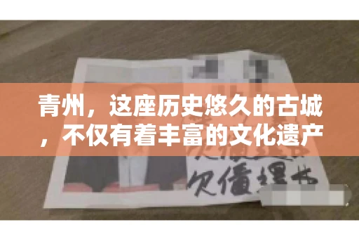 青州，这座历史悠久的古城，不仅有着丰富的文化遗产，还有着繁忙的经济活动。在商业往来中，难免会遇到一些欠款问题，这时候，找一家专业的要账公司就显得尤为重要。那么，青州有帮人要账的吗？答案是肯定的。下面，我就来为大家详细介绍一下青州地区的要账服务。