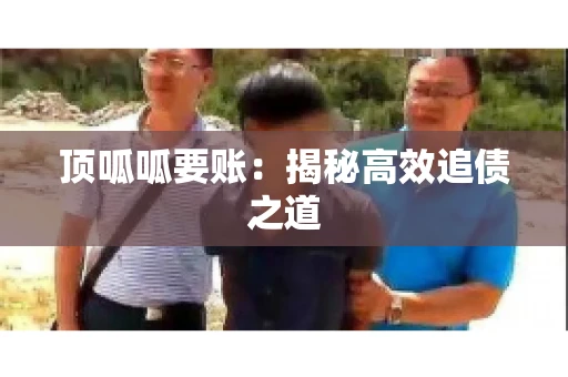 顶呱呱要账：揭秘高效追债之道