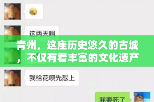 青州,这座历史悠久的古城,不仅有着丰富的文化遗产,也是商业活动频繁的地方。对于许多企业来说,应收账款的管理是日常运营中不可或缺的一环。那么,青州那里有要账的公司呢?今天,我们就来聊聊这个话题。 青州,这座历史悠久的古城,不仅有着丰富的文化遗产,也是商业活动频繁的地方。对于许多企业来说,应收账款的管理是日常运营中不可或缺的一环。那么,青州那里有要账的公司呢?今天,我们就来聊聊这个话题。