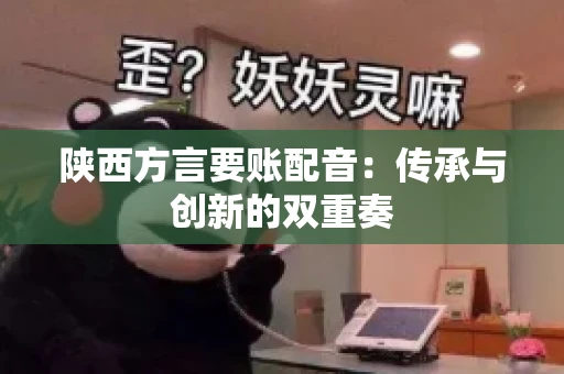 陕西方言要账配音:传承与创新的双重奏 陕西方言要账配音:传承与创新的双重奏