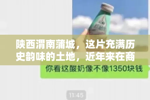 陕西渭南蒲城，这片充满历史韵味的土地，近年来在商业活动中也展现出了其独特的活力。其中，关于“陕西渭南蒲城要账”的话题，成为了不少企业关注的焦点。今天，我们就来聊聊这个话题，看看在蒲城，要账的那些事儿。