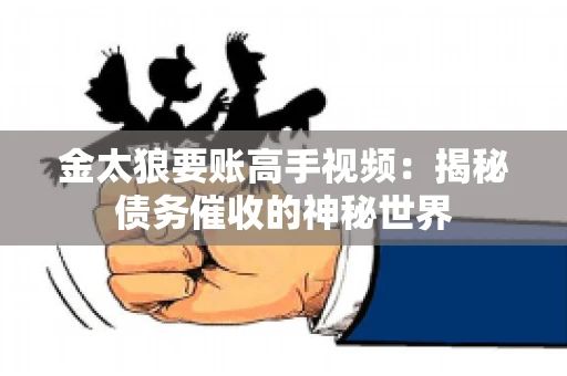 金太狼要账高手视频：揭秘债务催收的神秘世界