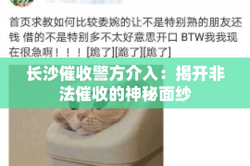 长沙催收警方介入：揭开非法催收的神秘面纱