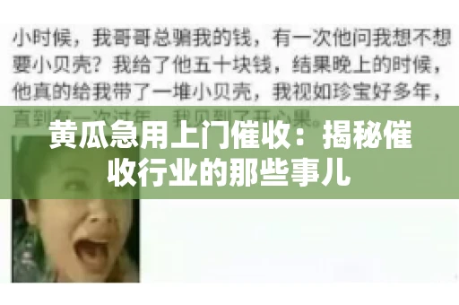 黄瓜急用上门催收：揭秘催收行业的那些事儿