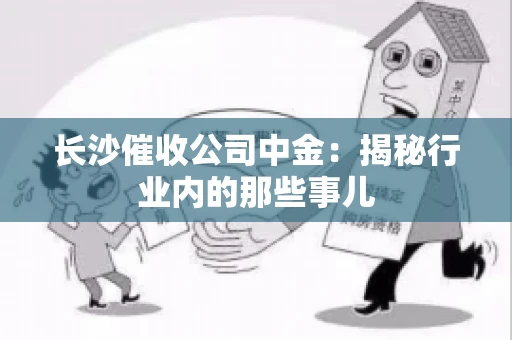长沙催收公司中金：揭秘行业内的那些事儿