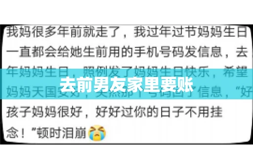 去前男友家里要账